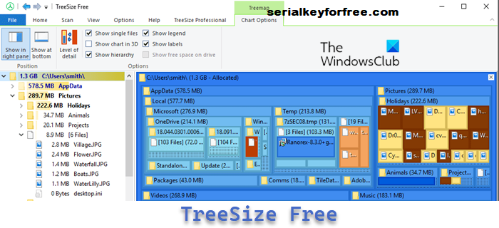 TreeSize Free Crack
